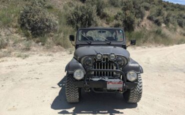 Jeep-cj-7-open-body-with-amc401-1981-grey-2