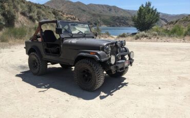 Jeep-cj-7-open-body-with-amc401-1981-grey-3