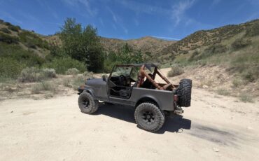 Jeep-cj-7-open-body-with-amc401-1981-grey-6