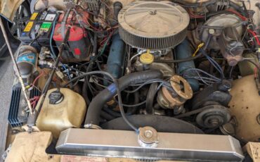 Jeep-cj-7-open-body-with-amc401-1981-grey-8