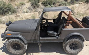 Jeep-cj-7-open-body-with-amc401-1981-grey-9