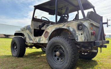 Jeep-cj5-1966-custom-11