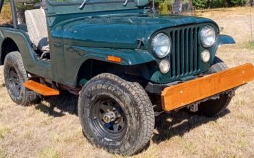 Jeep-cj5-1973-green