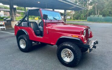 Jeep-cj5-1979-3
