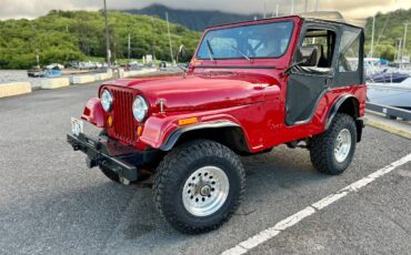 Jeep-cj5-1979-4