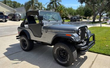 Jeep-cj5-1979-grey-1