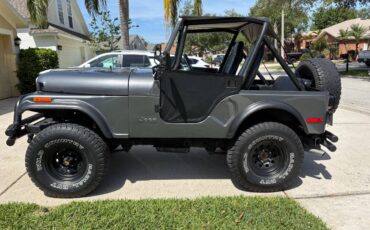 Jeep-cj5-1979-grey-2