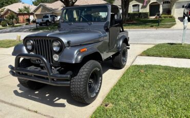 Jeep-cj5-1979-grey
