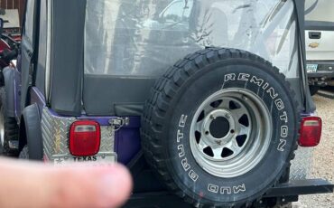 Jeep-cj5-1979-purple-2