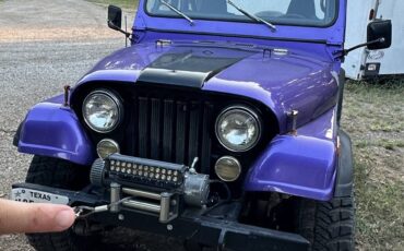Jeep-cj5-1979-purple-4