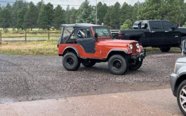 Jeep-cj5-1980-custom-1