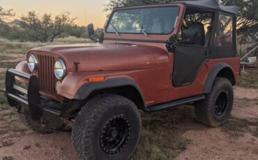 Jeep-cj5-1980-custom-2