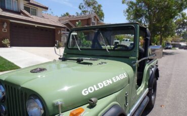 Jeep-cj5-1981-green-1