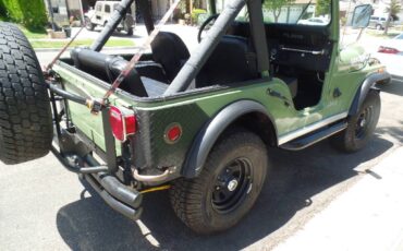 Jeep-cj5-1981-green-7