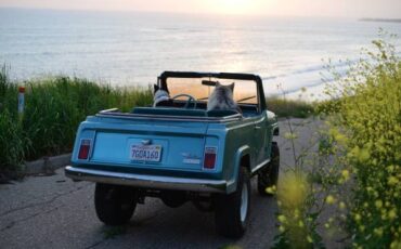 Jeep-cj5-1983-black-14