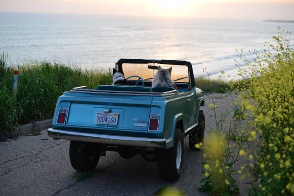 Jeep-cj5-1983-black-14