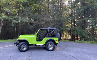 Jeep-cj5-custom-1979-green-12