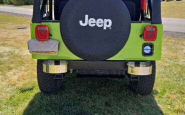Jeep-cj5-custom-1979-green-13