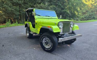 Jeep-cj5-custom-1979-green-9