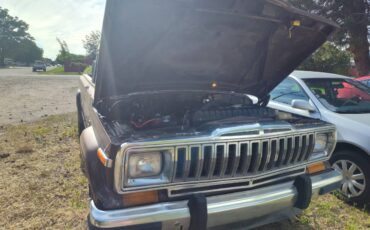 Jeep-j20-1986-brown-1