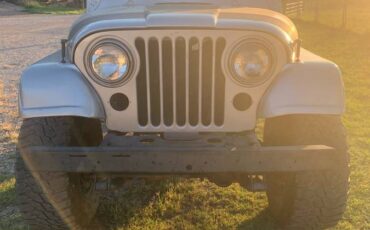 Jeep-renegade-1979-silver-2