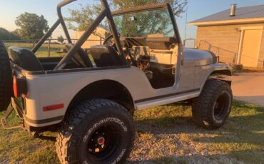 Jeep-renegade-1979-silver-3