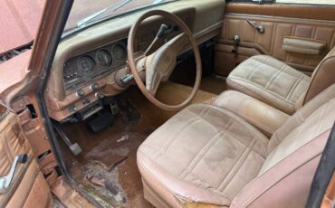 Jeep-wagoneer-1978-brown-2