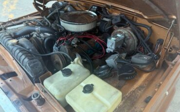 Jeep-wagoneer-1978-brown-3