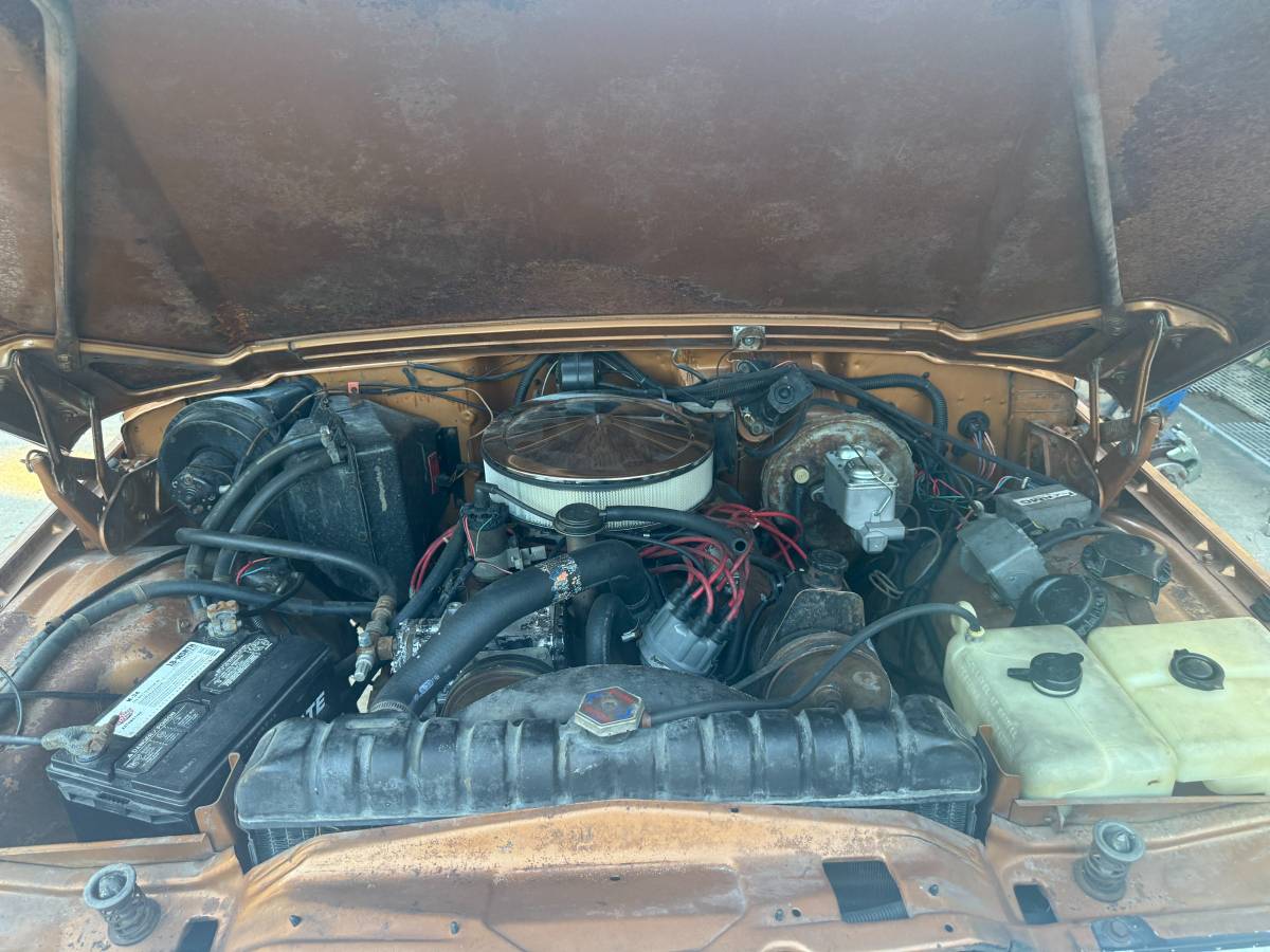 Jeep-wagoneer-1978-brown-4