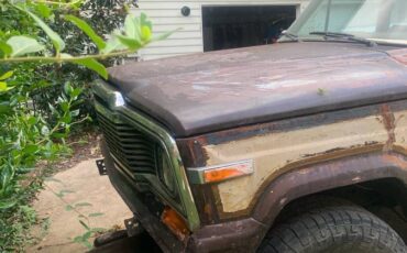 Jeep-wagoneer-1980-brown-2
