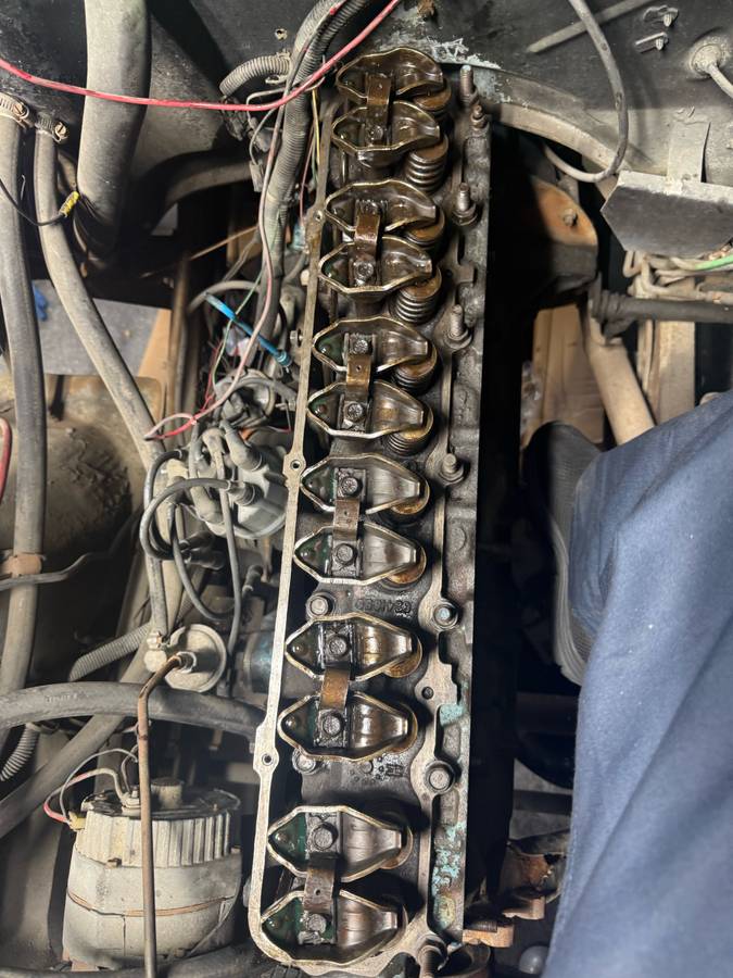 Jeep-wrangler-1979-green-19