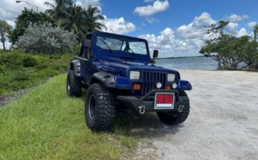 Jeep-wrangler-1987-blue-11