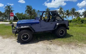Jeep-wrangler-1987-blue-13