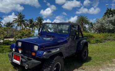 Jeep-wrangler-1987-blue-2