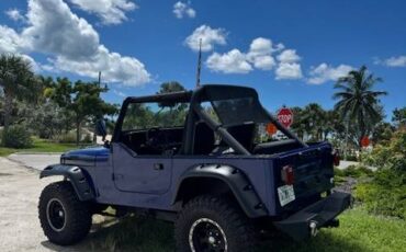 Jeep-wrangler-1987-blue-3