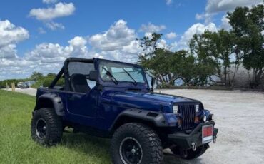 Jeep-wrangler-1987-blue-4