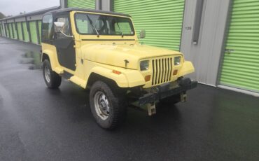 Jeep-wrangler-1989-17