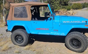 Jeep-wrangler-1989-blue-10