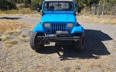 Jeep-wrangler-1989-blue-11