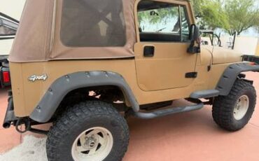 Jeep-wrangler-1989-brown-13