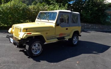 Jeep-wrangler-1989-white-6