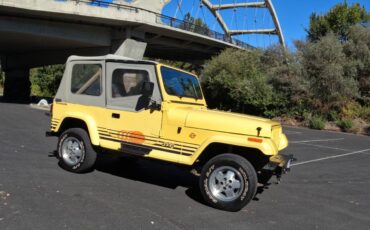 Jeep-wrangler-1989-white-7