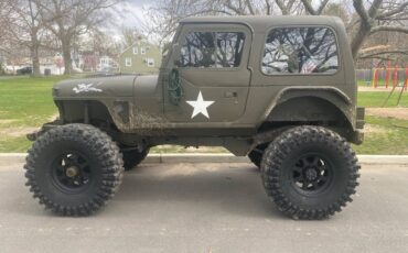 Jeep-wrangler-1991-green-3