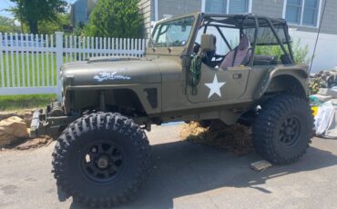 Jeep-wrangler-1991-green-5