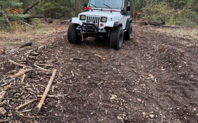 Jeep wrangler 1991