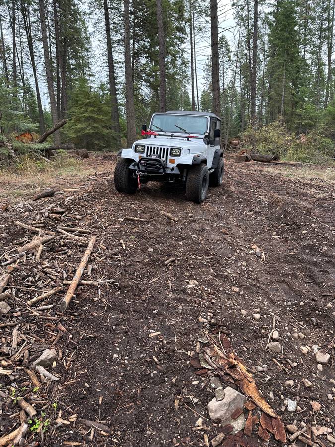 Jeep-wrangler-1991-white