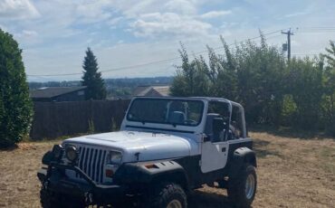Jeep-wrangler-1993-1