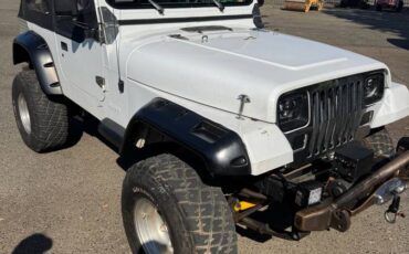 Jeep-wrangler-1993-13