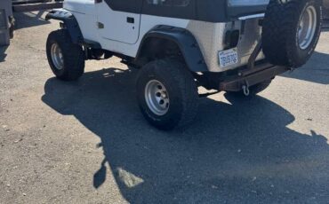 Jeep-wrangler-1993-15