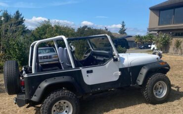 Jeep-wrangler-1993-3